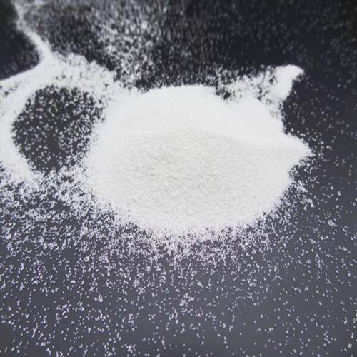 DSC02430_Copia-600x450